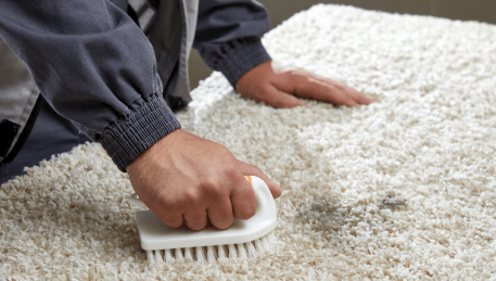 Professional Rug Cleaning Bell Park